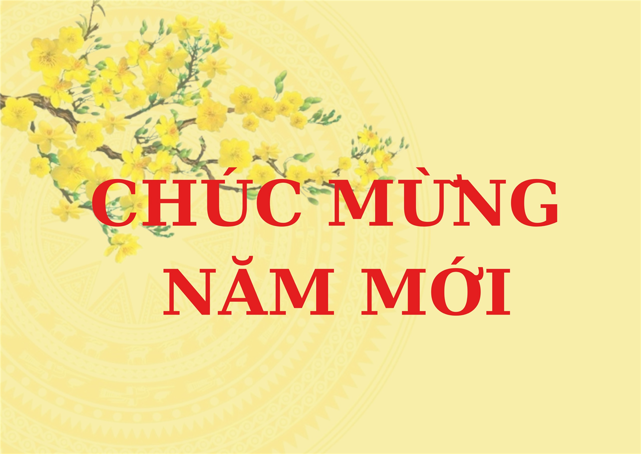 Bộ trưởng Tô Lâm gửi Thư chúc mừng năm mới 2024