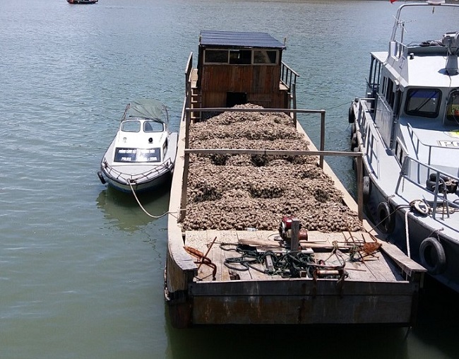 30 tấn hàu không rõ nguồn gốc bị lực lượng chức năng phát hiện bắt giữ.