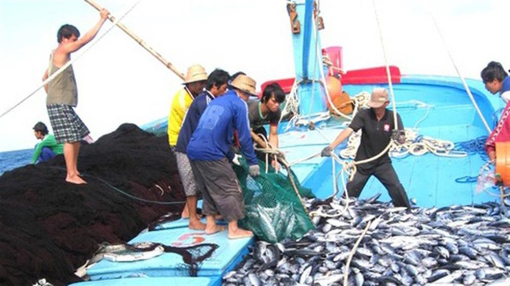 Thực hiện quyết tâm gỡ cảnh báo "Thẻ vàng" là vì lợi ích của quốc gia, của dân tộc, đảm bảo lợi ích của người dân; phát triển ngành thủy sản bền vững, có trách nhiệm và hội nhập quốc tế.