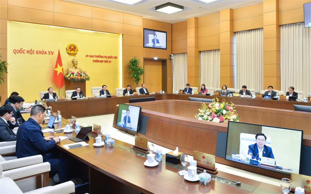 Các đại biểu tại phiên họp.