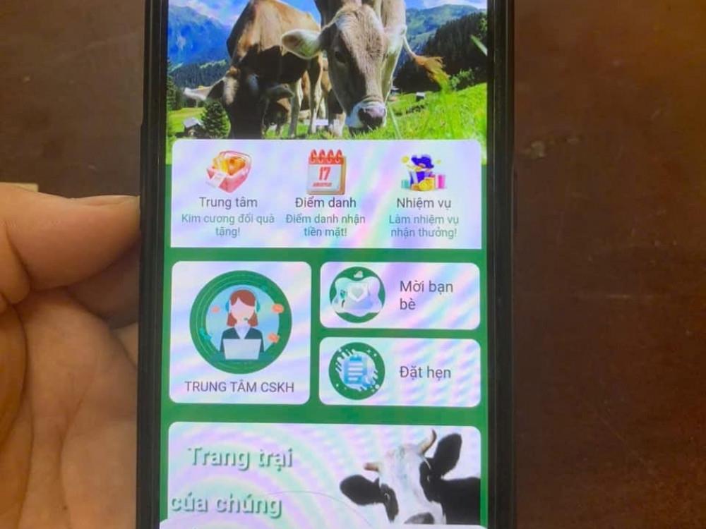 App “Nuôi bò online” mà các đối tượng sử dụng để lừa đảo chiếm đoạt tài sản.