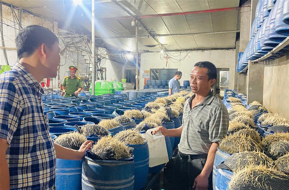 Lực lượng chức năng kiểm tra cơ sở sản xuất giá đỗ của ông Tạ Văn Hải.