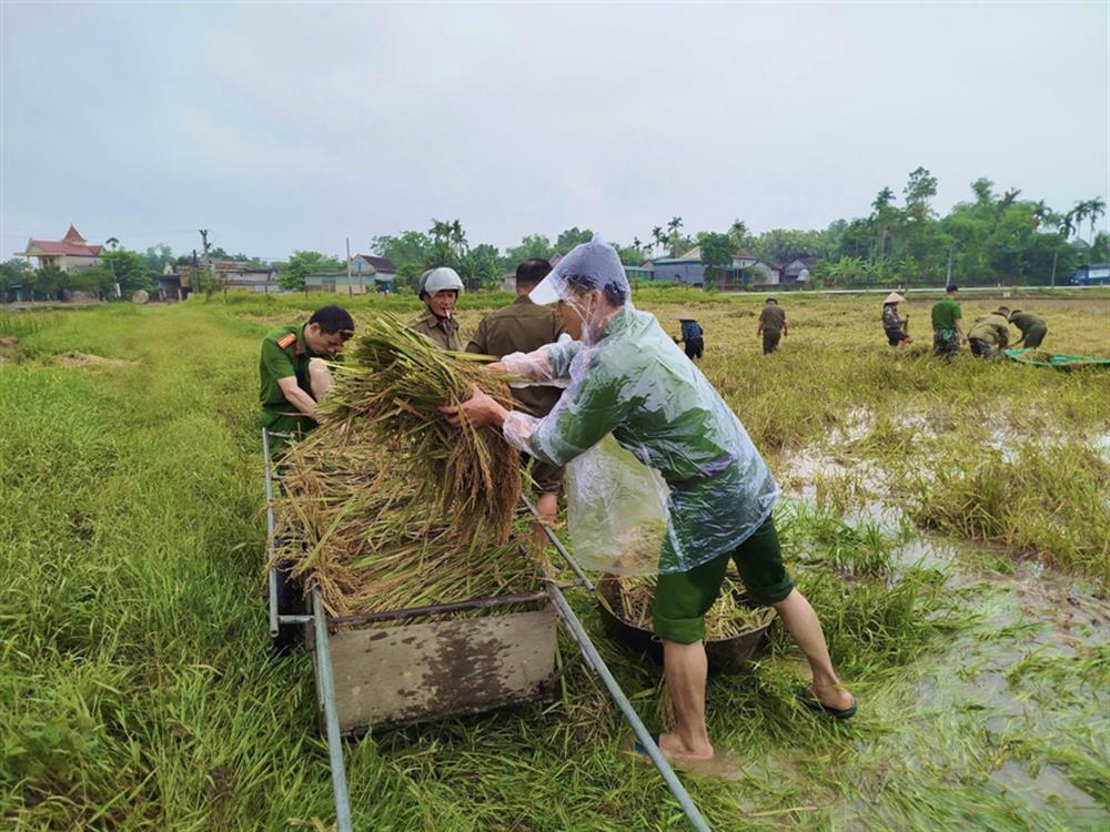 Lực lượng Công an hỗ trợ bà con vận chuyển lúa về nhà.