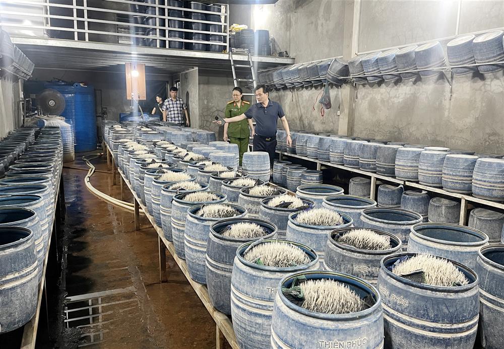Khu vực sản xuất giá đỗ của ông Lưu Văn Vẽ.