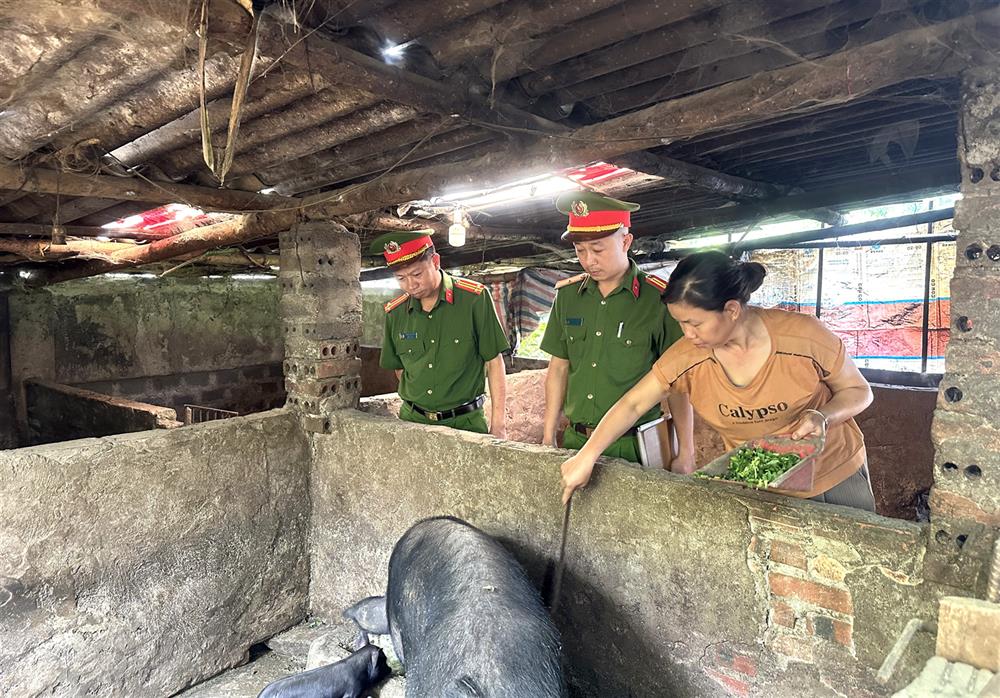 Tham quan mô hình phát triển kinh tế của hộ gia đình và tuyên truyền vận động người dân ở cơ sở.