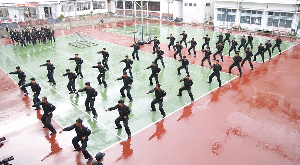 Đồng diễn võ thuật.
