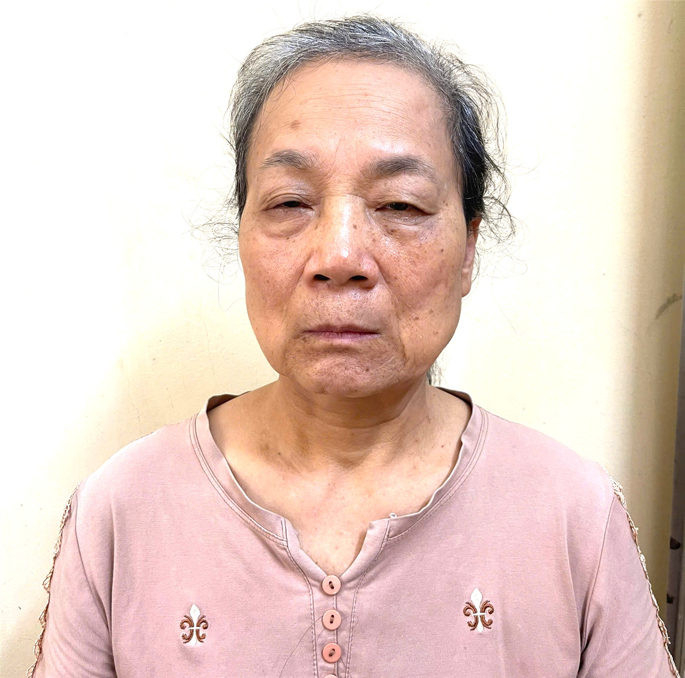 Đối tượng Mai Thị Hạ.