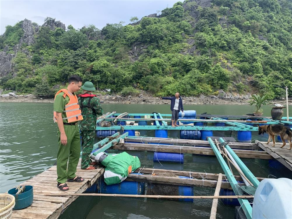 Công an huyện Cát Hải phối hợp với các lực lượng giúp dân chằng buộc lồng bè cá, cố định nhà, hướng dẫn dân vào nơi trú bão, tuần tra kiểm soát hướng dẫn phương tiện vào khu vực neo đậu tránh bão.