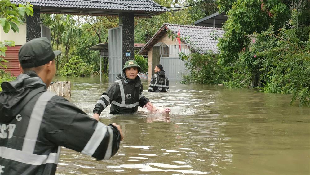 Cán bộ, chiến sỹ Trung đoàn cảnh sát cơ động Thủ đô giúp nhân dân sơ tán gia súc tại Tân Dân - Sóc Sơn - Hà Nội.