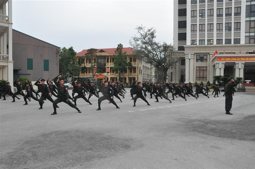 Một số hình ảnh biểu diễn võ thuật Công an nhân dân.
