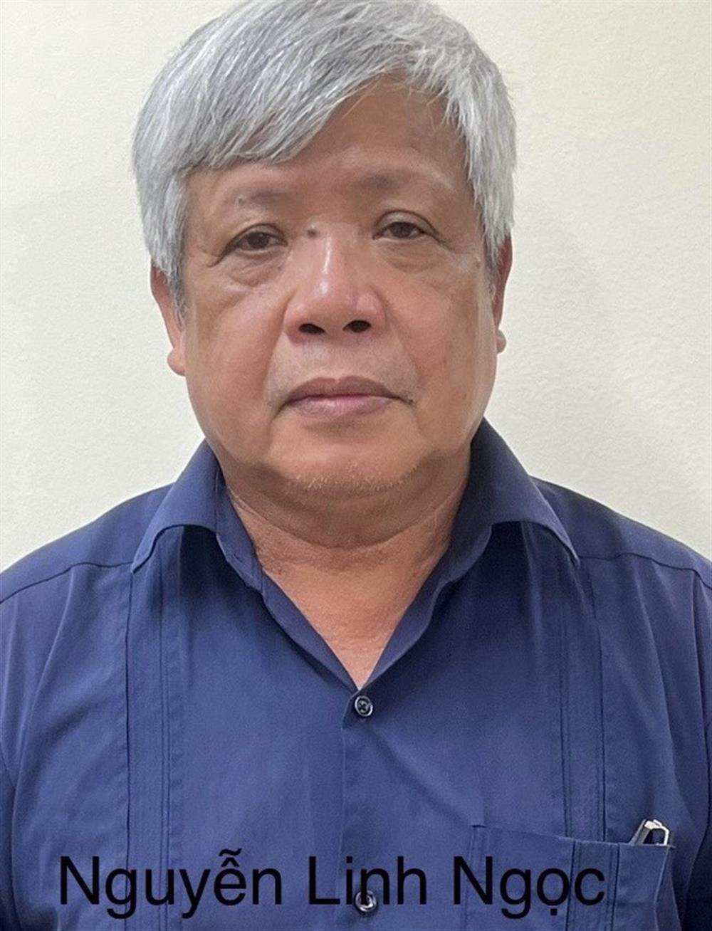 Bị can Nguyễn Linh Ngọc.