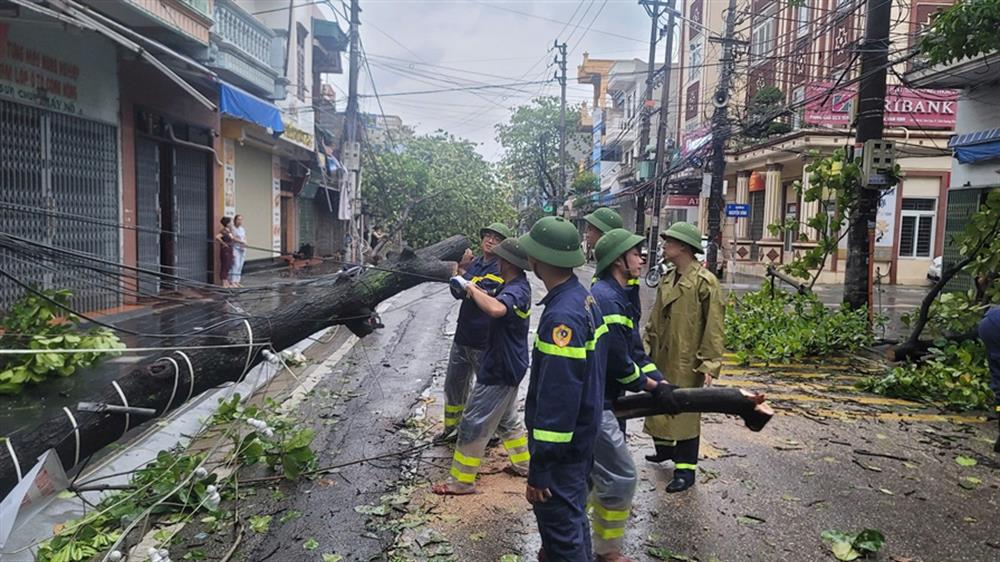 Công an Nam Định khắc phục tình trạng hàng nghìn cây bị gãy đổ sau bão.