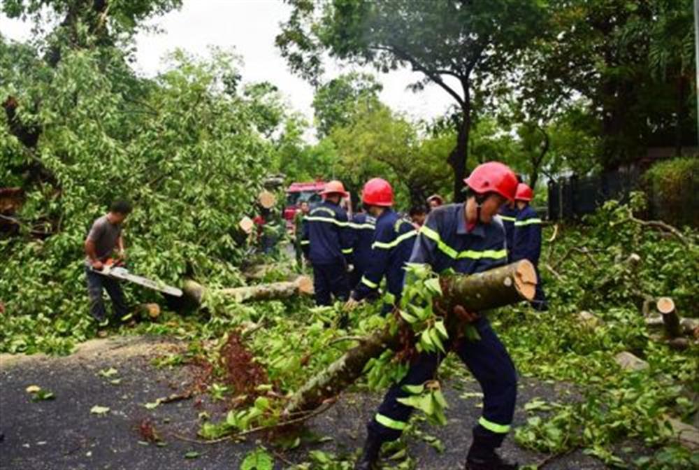 Lực lượng Cảnh sát PCCC và CNCH xử lý, giải phóng cây xanh bị ngã, đổ sau mưa bão.