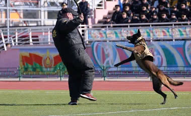 2177947010199375154 (1).jpg