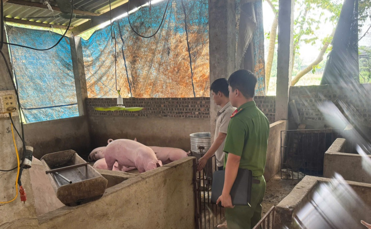 Ảnh 2 Điềm Thụy điểm sáng từ mô hình.jpg
