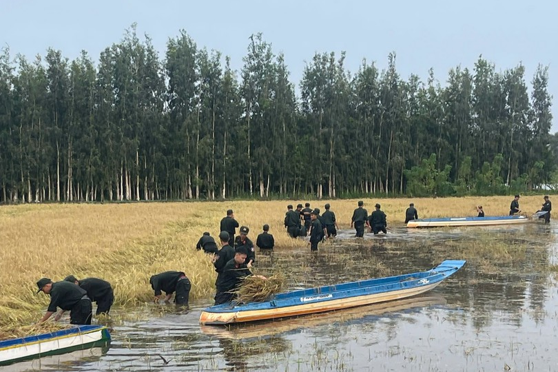 lực lượng CSCĐ tham gia hỗ trợ cùng người dân thu hoạch lúa bị ngập.jpg