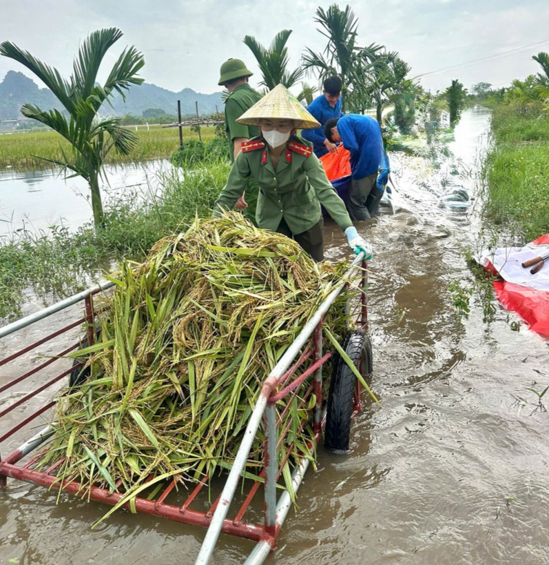 4. Ảnh CBCS CAX hỗ trợ bà con đưa lúa về nhà.jpg