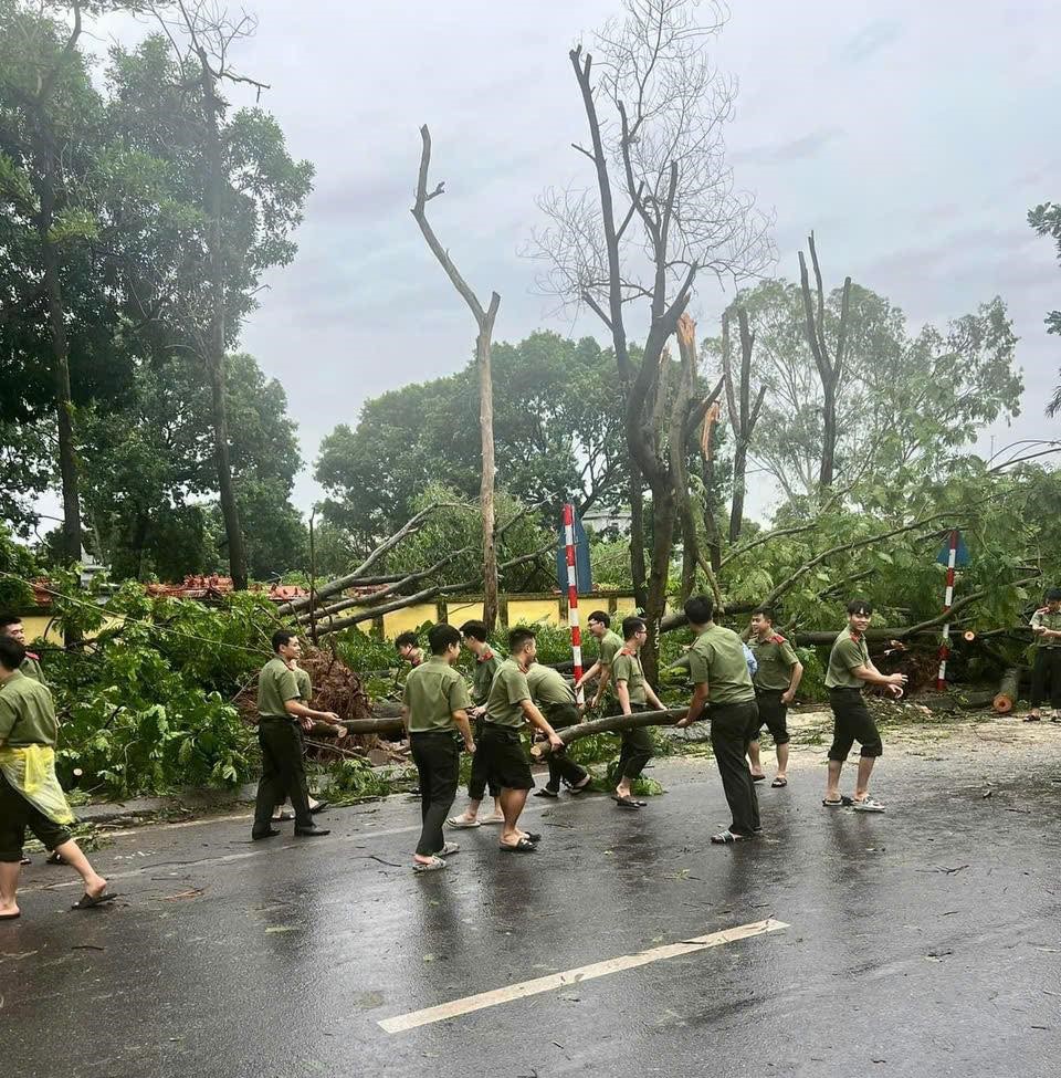 500 sinh viên Học viện An ninh nhân dân xuống đường dọn dẹp vệ sinh, cây đổ sau mưa bão.