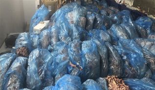 Thu giữ 03 tấn sản phẩm gà đông lạnh không rõ nguồn gốc