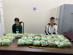 Hà Tĩnh: Bắt giữ 02 đối tượng vận chuyển 30kg ma túy đá