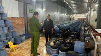 Đắk Lắk: Phát hiện và khởi tố các đối tượng sản xuất hơn 20 tấn giá đỗ ngâm chất cấm