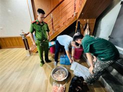 Quảng Ninh: Phát hiện gần 480kg thực phẩm đông lạnh không rõ nguồn gốc xuất xứ