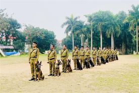 Hoàn thành khóa huấn luyện, sử dụng chó nghiệp vụ cho cán bộ Công an Lào
