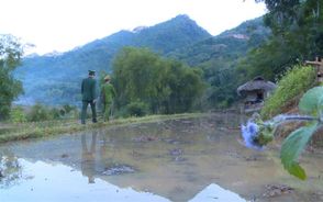 Thanh Hóa nỗ lực vận động đồng bào dân tộc thiểu số không sử dụng súng săn, súng tự chế