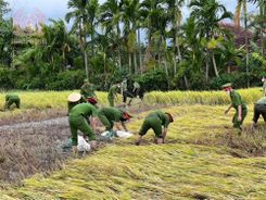 Công an Bình Định: Hỗ trợ nông dân thu hoạch lúa vụ đông xuân 2022