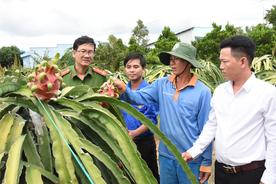 Tiền Giang: Chú trọng công tác tái hòa nhập cộng đồng