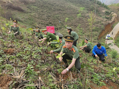 Chương trình “Hành quân xanh - Vì biên cương Tổ quốc”