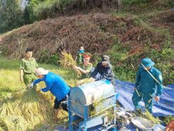 Lạng Sơn: Ra quân phối hợp tổ chức chiến dịch tình nguyện Kỳ nghỉ hồng và Hành quân xanh năm 2024