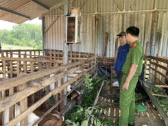 Quyết chí hoàn lương, tái hoà nhập cộng đồng - Bài 2: Luôn có con đường phía trước