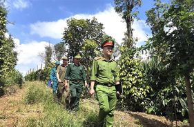 Đắk Nông: Ghi nhận kết quả 15 ngày đầu cao điểm bảo đảm an ninh, trật tự Tết Nguyên đán Ất Tỵ