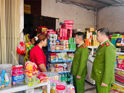 Vĩnh Phúc: Phát huy tinh thần xung kích, trách nhiệm của tuổi trẻ Công an xã