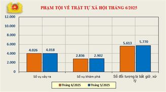 Số liệu về công tác đấu tranh phòng, chống tội phạm tháng 6/2025
