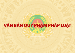 Văn bản quy phạm pháp luật ban hành và lấy ý kiến trong tháng 5/2022