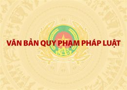 Văn bản quy phạm pháp luật liên quan công tác công an được ban hành và tổ chức lấy ý kiến trong tháng 9/2024