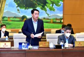 Sử dụng tần số vô tuyến điện phục vụ mục đích quốc phòng, an ninh kết hợp phát triển kinh tế - xã hội