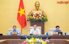 Ủy ban Thường vụ Quốc hội cho ý kiến về dự án Luật sửa đổi, bổ sung một số điều của Bộ luật Tố tụng hình sự