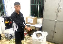 Cao Bằng: Công an xã bắt giữ đối tượng vận chuyển trái phép vảy động vật và ma túy
