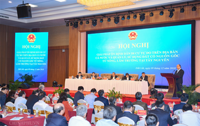 Bàn giải pháp ổn định dân di cư tự do và quản lý đất có nguồn gốc nông, lâm trường