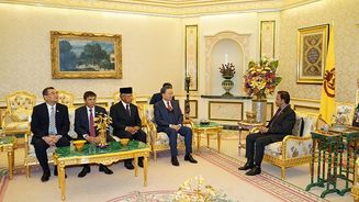 Bộ trưởng Tô Lâm chào xã giao Quốc vương Brunei Darussalam