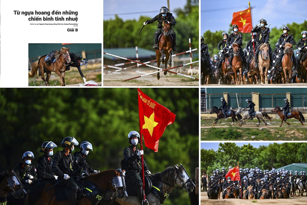 Từ ngựa hoang đến những chiến binh tinh nhuệ