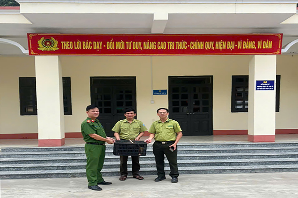Cốc San 1-087499.jpg