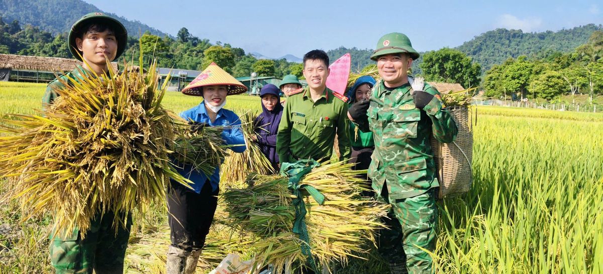 Công an xã Môn Sơn, tỉnh Nghệ An hỗ trợ gia đình có hoàn cảnh khó khăn thu hoạch lúa