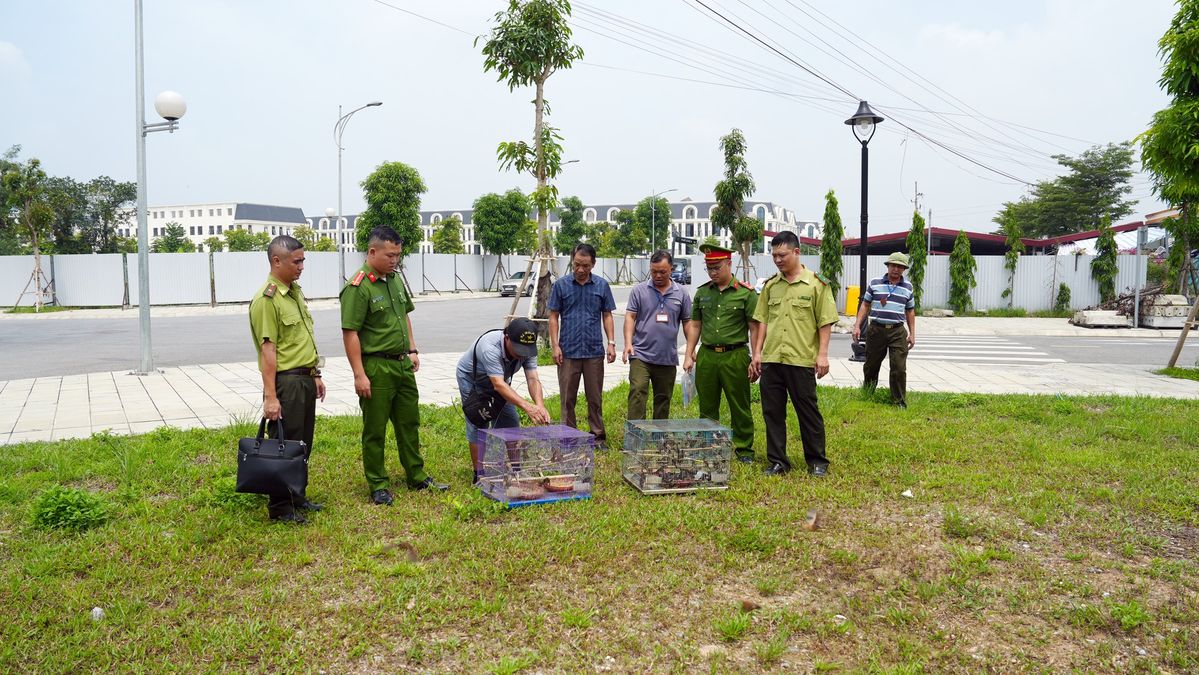Triển khai hiệu quả các giải pháp bảo vệ động vật hoang dã 