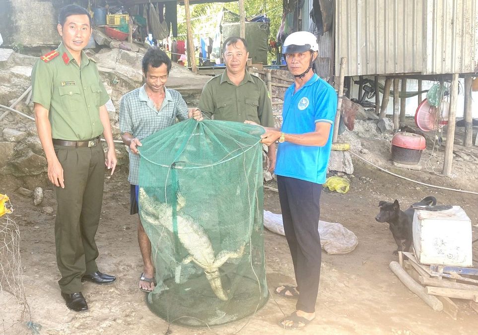 Tiếp nhận, bàn giao cá thể kỳ đà hoa do người dân tự nguyện giao nộp