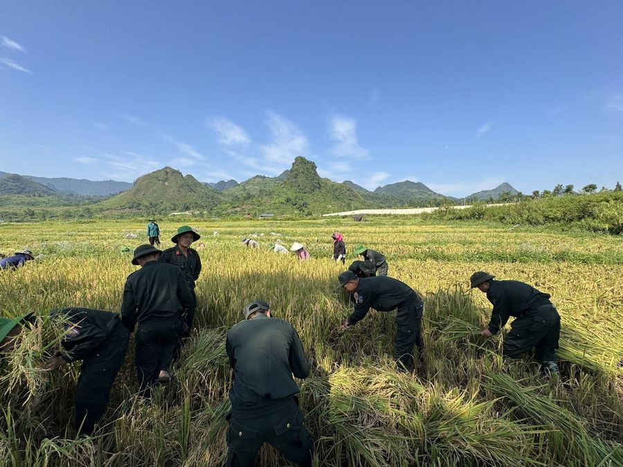 Cảnh sát cơ động Lai Châu tranh thủ ngày nghỉ, phục vụ Nhân dân