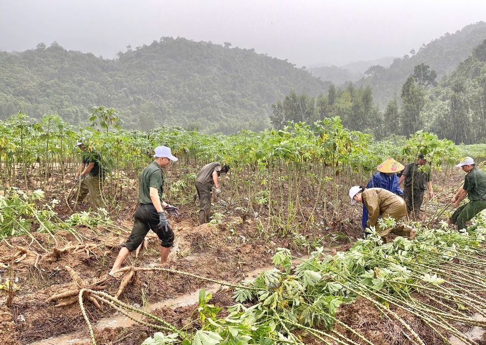 Công an Đắk Lắk giúp dân thu hoạch nông sản "chạy lũ"